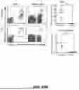 Fig. 70 - METHODS FOR TREATING HAIR LOSS DISORDERS