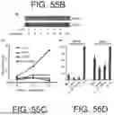 Fig. 75 - METHODS FOR TREATING HAIR LOSS DISORDERS