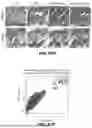 Fig. 82 - METHODS FOR TREATING HAIR LOSS DISORDERS