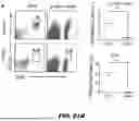Fig. 94 - METHODS FOR TREATING HAIR LOSS DISORDERS