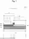 Fig. 02 - EXHAUST GAS PURIFICATION DEVICE
