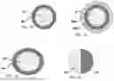 Fig. 03 - CREATING HYDROGEL FILMS USING A MULTILAYERED EXTRUSION REACTOR APPARATUS
