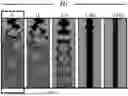 Fig. 07 - CREATING HYDROGEL FILMS USING A MULTILAYERED EXTRUSION REACTOR APPARATUS