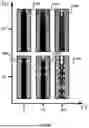Fig. 09 - CREATING HYDROGEL FILMS USING A MULTILAYERED EXTRUSION REACTOR APPARATUS