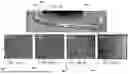 Fig. 25 - CREATING HYDROGEL FILMS USING A MULTILAYERED EXTRUSION REACTOR APPARATUS