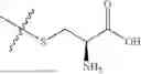 Fig. 22 - METABOLITES OF GLP1R AGONISTS