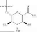 Fig. 99 - METABOLITES OF GLP1R AGONISTS