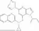 Fig. 110 - P2X3 AND/OR P2X2/3 COMPOUNDS AND METHODS