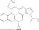 Fig. 141 - P2X3 AND/OR P2X2/3 COMPOUNDS AND METHODS