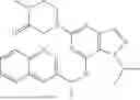 Fig. 46 - P2X3 AND/OR P2X2/3 COMPOUNDS AND METHODS
