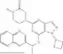 Fig. 80 - P2X3 AND/OR P2X2/3 COMPOUNDS AND METHODS