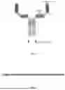 Fig. 02 - GENE SEQUENCE CONSTRUCT FOR GENE THERAPY FOR HIV INFECTION