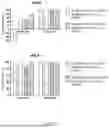 Fig. 07 - GENE SEQUENCE CONSTRUCT FOR GENE THERAPY FOR HIV INFECTION
