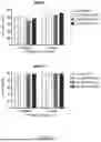 Fig. 08 - GENE SEQUENCE CONSTRUCT FOR GENE THERAPY FOR HIV INFECTION