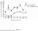 Fig. 09 - GENE SEQUENCE CONSTRUCT FOR GENE THERAPY FOR HIV INFECTION