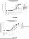 Fig. 19 - METHODS OF TREATING CANCERS ASSOCIATED WITH IMMUNOSUPPRESSIVE B CELLS