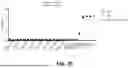 Fig. 27 - METHODS OF TREATING CANCERS ASSOCIATED WITH IMMUNOSUPPRESSIVE B CELLS