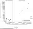 Fig. 34 - METHODS OF TREATING CANCERS ASSOCIATED WITH IMMUNOSUPPRESSIVE B CELLS