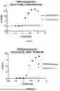 Fig. 101 - ANTI-ROR ANTIBODY CONSTRUCTS