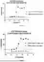 Fig. 103 - ANTI-ROR ANTIBODY CONSTRUCTS