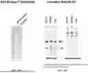 Fig. 11 - ANTI-ROR ANTIBODY CONSTRUCTS