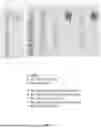 Fig. 25 - ANTI-ROR ANTIBODY CONSTRUCTS