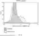 Fig. 44 - ANTI-ROR ANTIBODY CONSTRUCTS