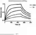 Fig. 49 - ANTI-ROR ANTIBODY CONSTRUCTS