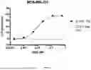 Fig. 53 - ANTI-ROR ANTIBODY CONSTRUCTS