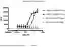 Fig. 55 - ANTI-ROR ANTIBODY CONSTRUCTS
