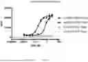 Fig. 56 - ANTI-ROR ANTIBODY CONSTRUCTS
