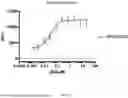 Fig. 58 - ANTI-ROR ANTIBODY CONSTRUCTS