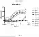 Fig. 59 - ANTI-ROR ANTIBODY CONSTRUCTS