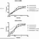 Fig. 62 - ANTI-ROR ANTIBODY CONSTRUCTS