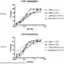 Fig. 64 - ANTI-ROR ANTIBODY CONSTRUCTS