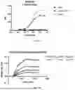 Fig. 74 - ANTI-ROR ANTIBODY CONSTRUCTS