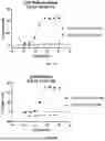 Fig. 84 - ANTI-ROR ANTIBODY CONSTRUCTS