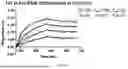 Fig. 92 - ANTI-ROR ANTIBODY CONSTRUCTS