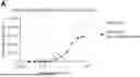 Fig. 01 - MULTISPECIFIC ANTIBODIES HAVING SPECIFICITY FOR ROR1 AND CD3