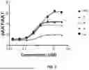 Fig. 03 - Antibodies Directed to TIE-2 and Methods of Use