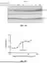 Fig. 06 - Antibodies Directed to TIE-2 and Methods of Use