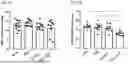 Fig. 11 - Antibodies Directed to TIE-2 and Methods of Use
