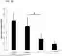 Fig. 13 - Antibodies Directed to TIE-2 and Methods of Use