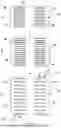 Fig. 06 - BUILDING PROFILE AS WELL AS METHOD AND INSTALLATIONS FOR MANUFACTURING A BUILDING PROFILE