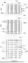 Fig. 08 - BUILDING PROFILE AS WELL AS METHOD AND INSTALLATIONS FOR MANUFACTURING A BUILDING PROFILE