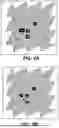 Fig. 08 - Surface Code Computations using ISWAP Gates