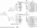 Fig. 11 - SYSTEMS AND METHODS FOR ENHANCED COMPUTER LOGIC PROCESSING OF MORTGAGE LOAN ORIGINATIONS
