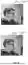 Fig. 09 - Determining Regions of Interest for Photographic Functions