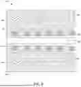 Fig. 10 - METHOD OF MANUFACTURING SOLVENTLESS MULTILAYERED ELECTRODES