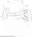 Fig. 01 - Adjustable Headbands
